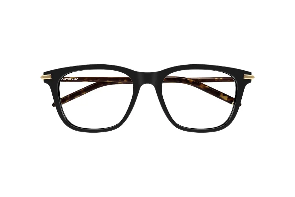 Vorderansicht Mont Blanc MB0275OA (004)