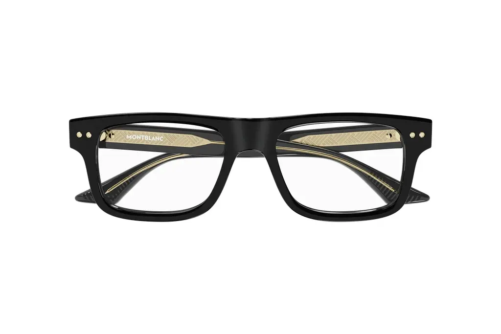Vorderansicht Mont Blanc MB0289O (005)