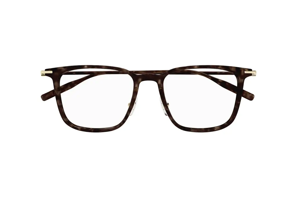 Vorderansicht Mont Blanc MB0354O (002)