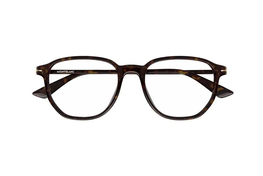 Vorderansicht Mont Blanc MB0366O (002)
