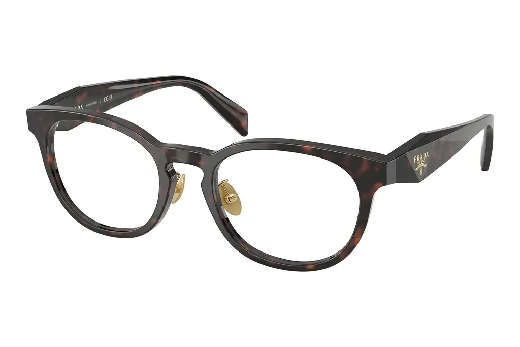 Prada   PR B06VD 17N1O1 Matte Green/Pink