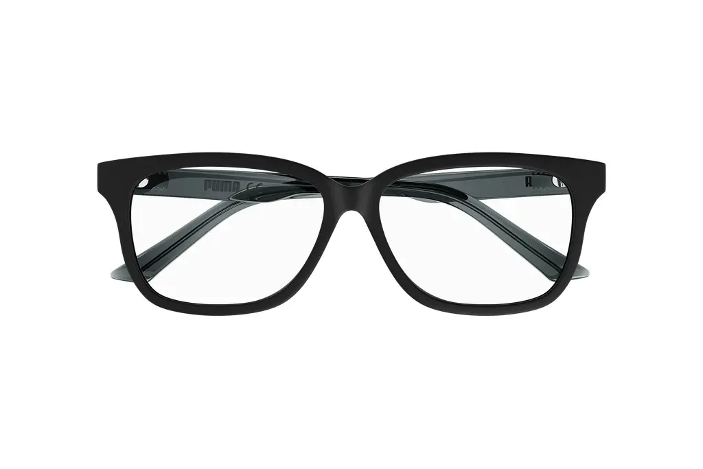 Vorderansicht Puma PJ0070OA (003)