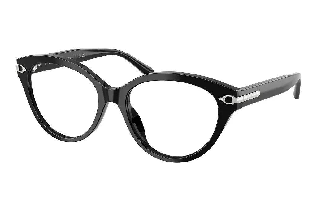 Ralph Lauren   RL6256U 5001 Shiny Black