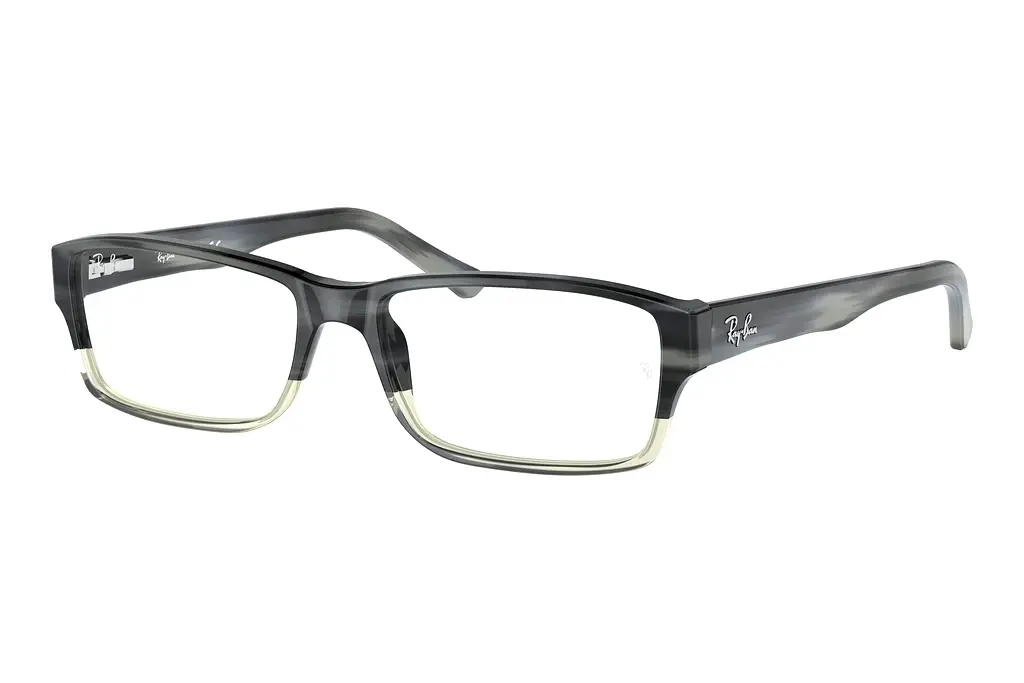 Ray-Ban   RX5169 5540 Grey