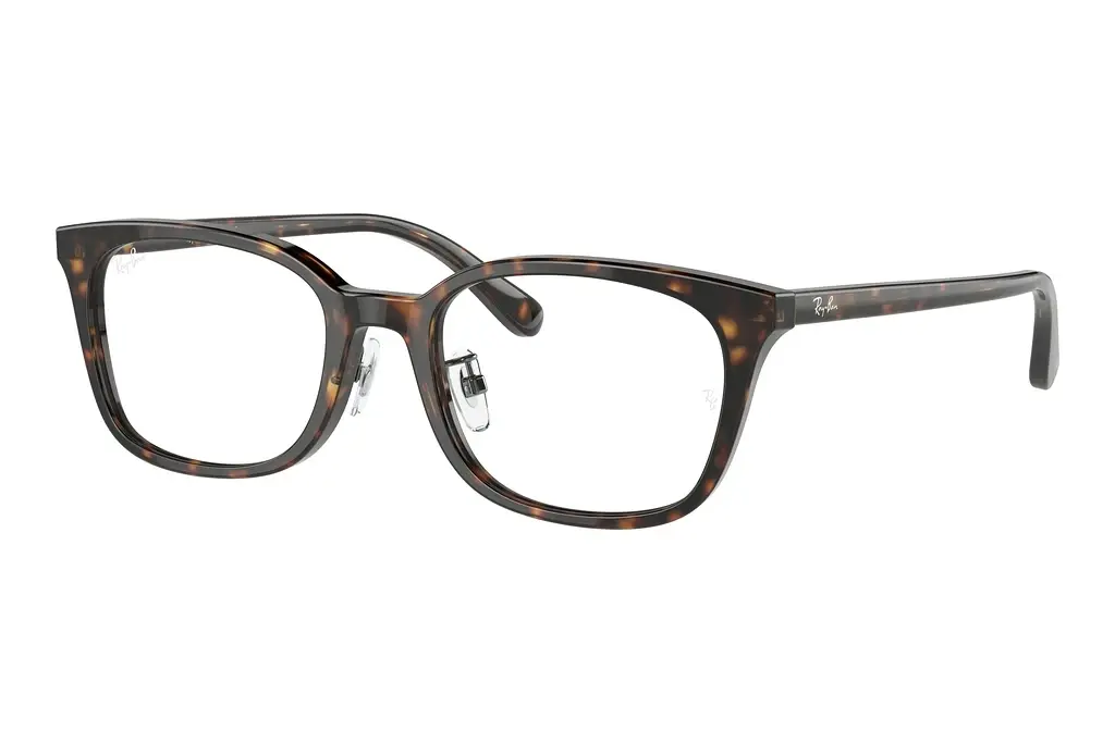 Ray-Ban   RX5407D 2012 Havana
