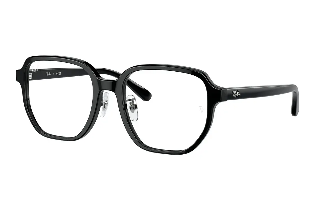 Ray-Ban   RX5424D 2000 Black