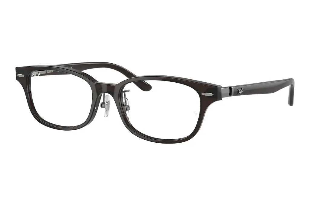 Ray-Ban   RX5427D 8290 Transparent Brown