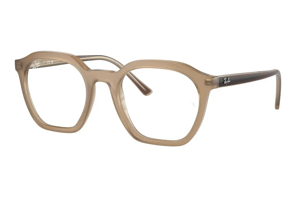 Ray-Ban   RX7238 8355 Tortledove