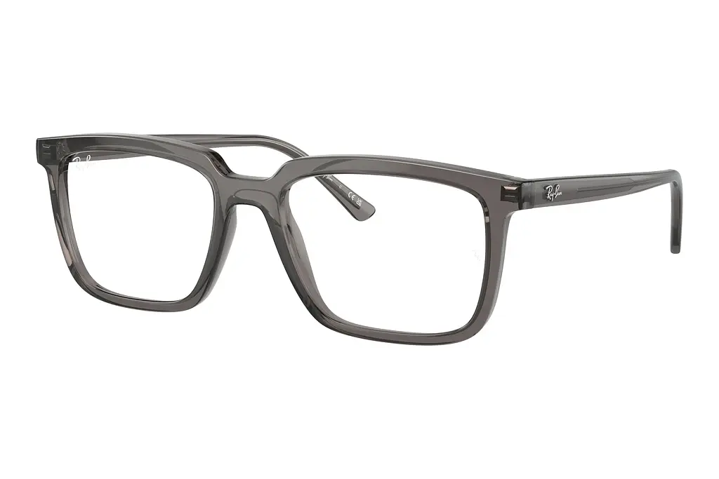 Ray-Ban   RX7239 8257 Opal Dark Grey