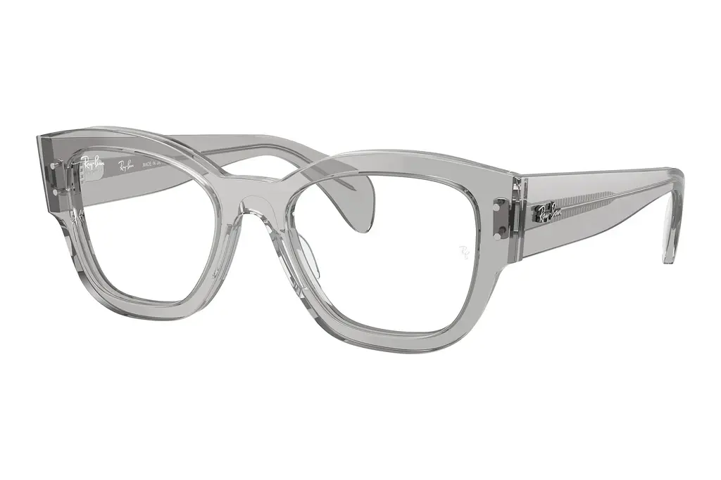 Ray-Ban   RX7681V 2102 Transparent Grey