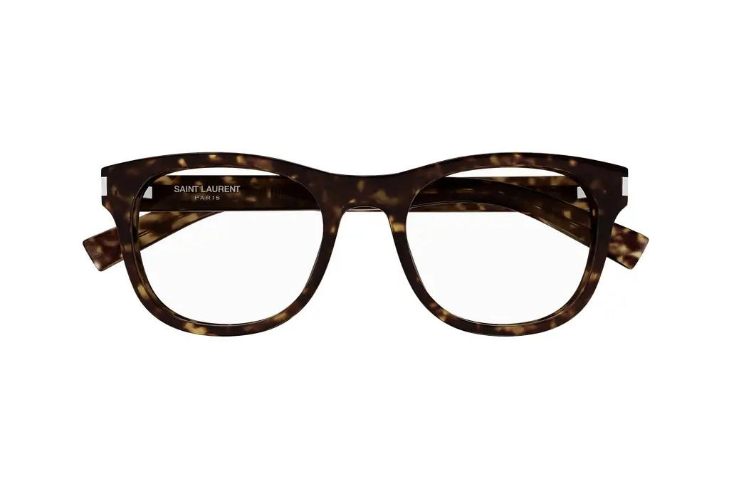 Vorderansicht Saint Laurent SL 663 (005)