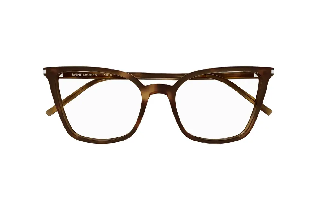 Vorderansicht Saint Laurent SL 669 (003)