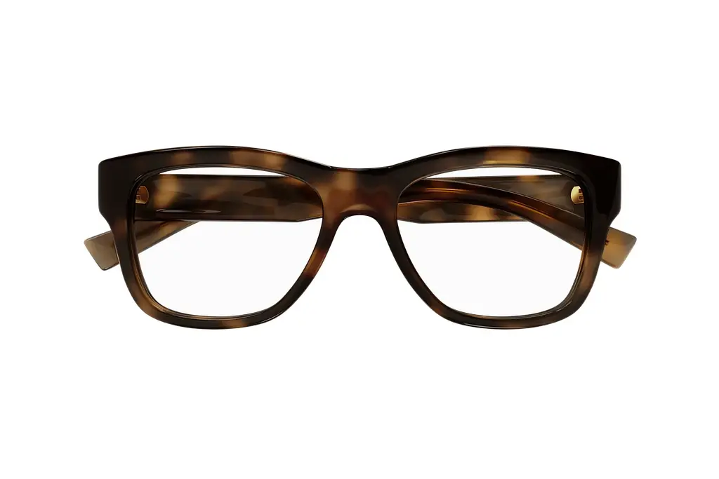 Vorderansicht Saint Laurent SL 677 (003)