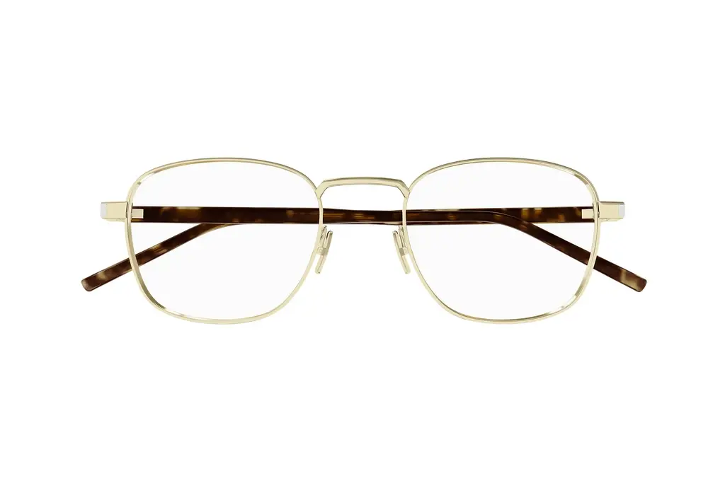 Vorderansicht Saint Laurent SL 699 (003)