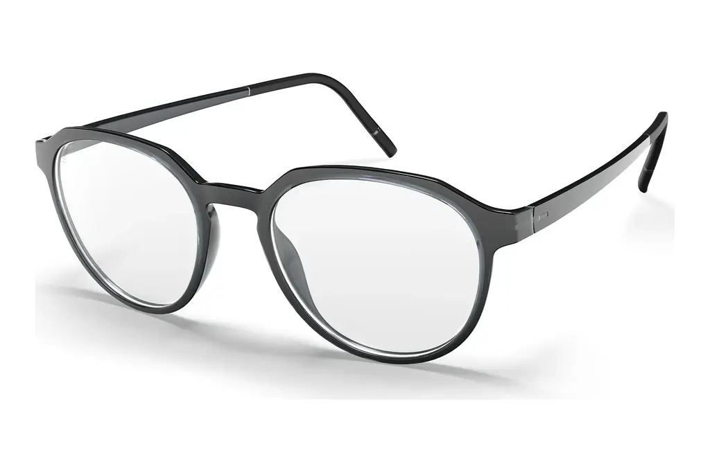 Silhouette   2981 6560 Ruthenium / Grey