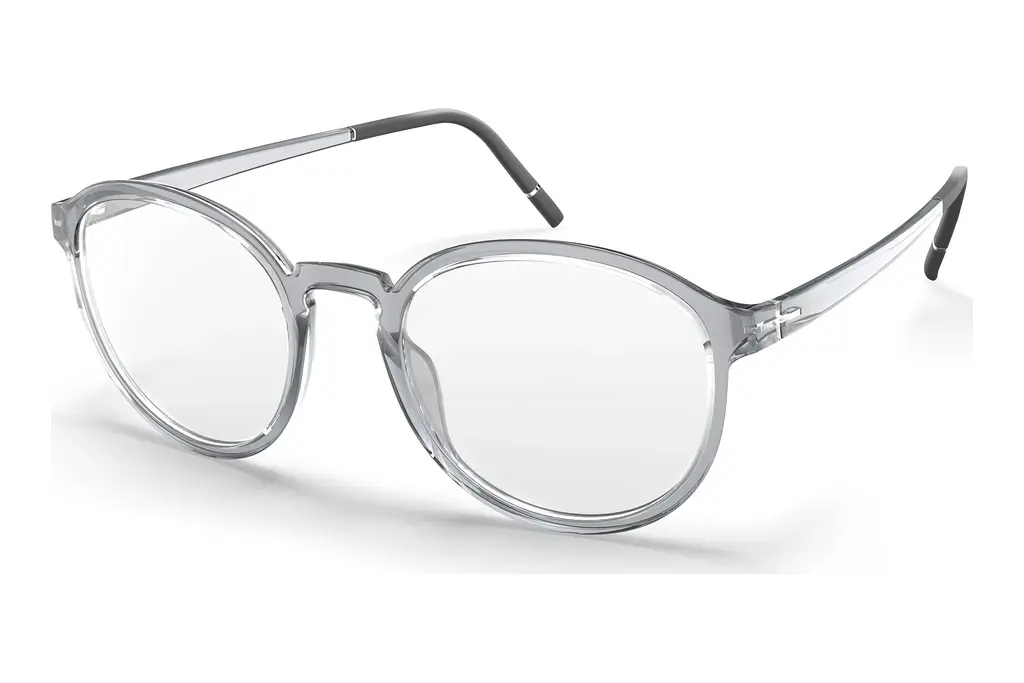 Silhouette   2982 6510 Grey