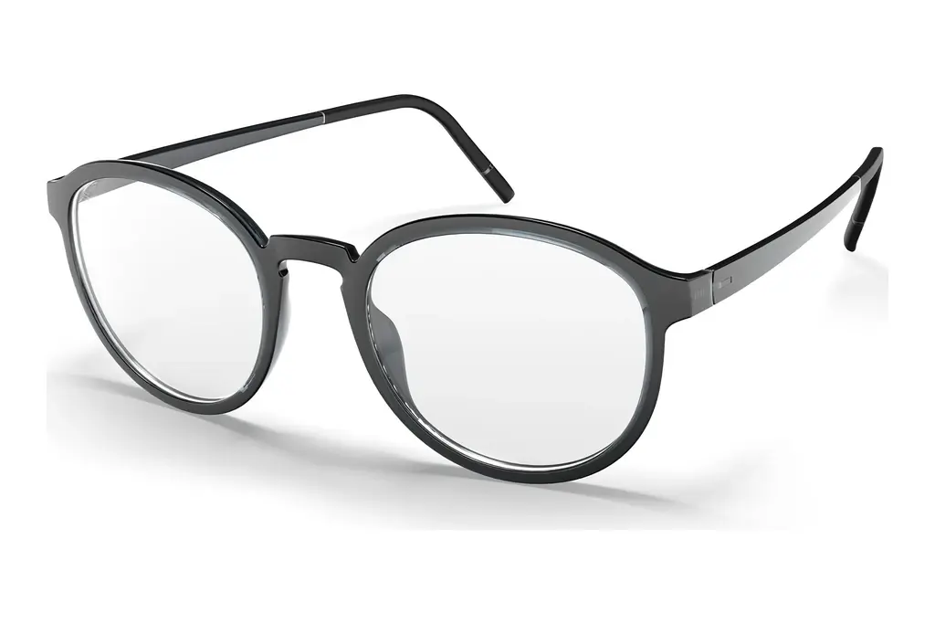 Silhouette   2982 6560 Ruthenium / Grey