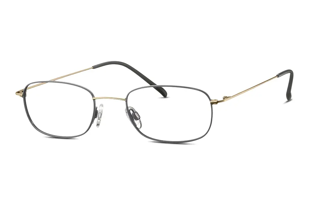 TITANFLEX   EBT 820850 20 gold