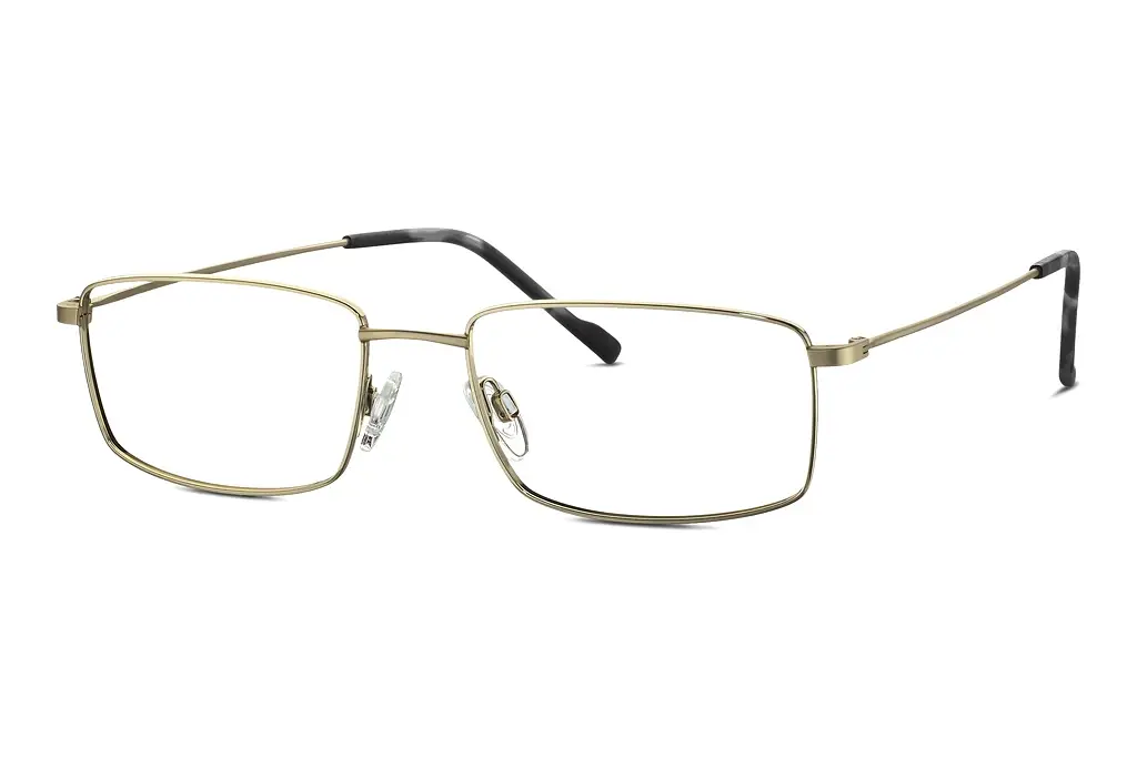 TITANFLEX   EBT 820922 20 gold