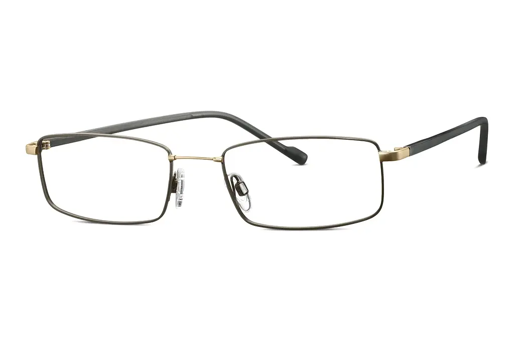 TITANFLEX   EBT 820940 23 gold
