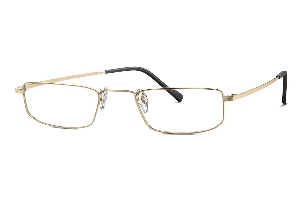 TITANFLEX   EBT 820955 20 gold