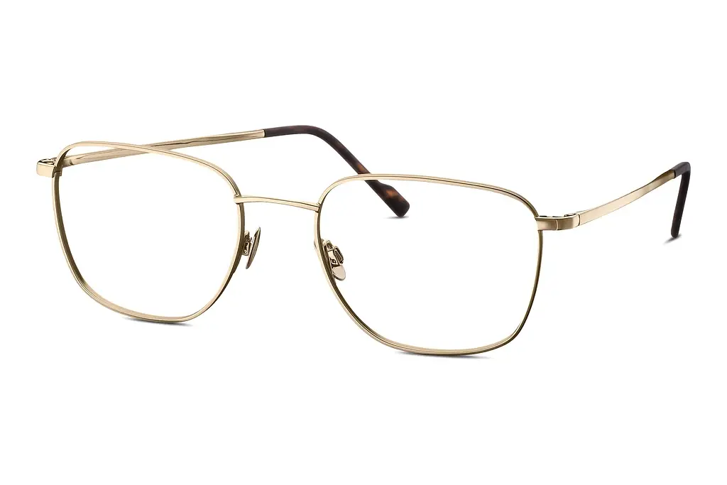 TITANFLEX   EBT 821045 20 gold