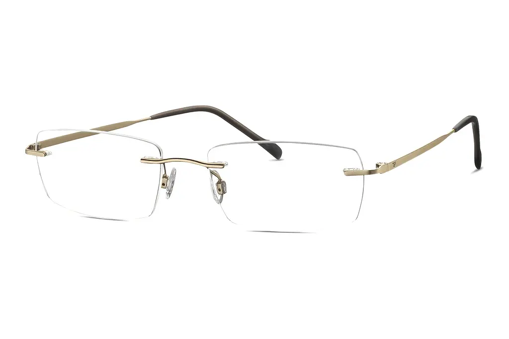 TITANFLEX   EBT 823015 20 gold