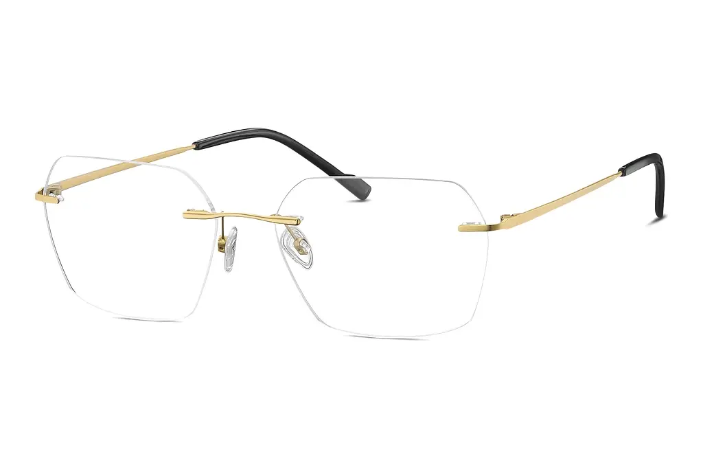 TITANFLEX   EBT 823019 20 gold