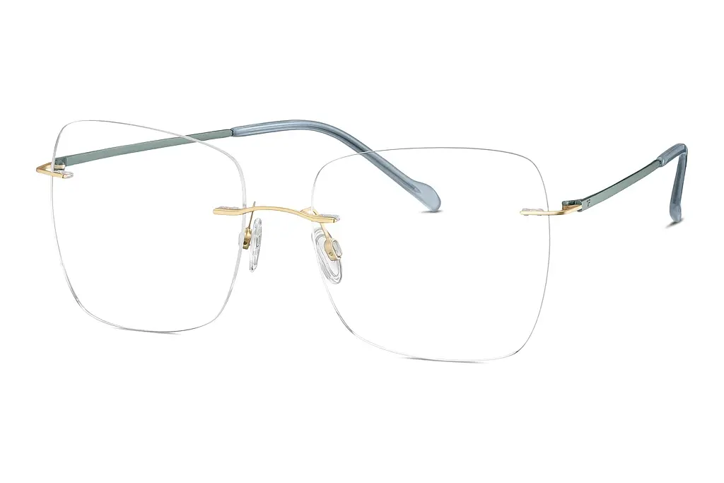 TITANFLEX   EBT 823021 27 gold