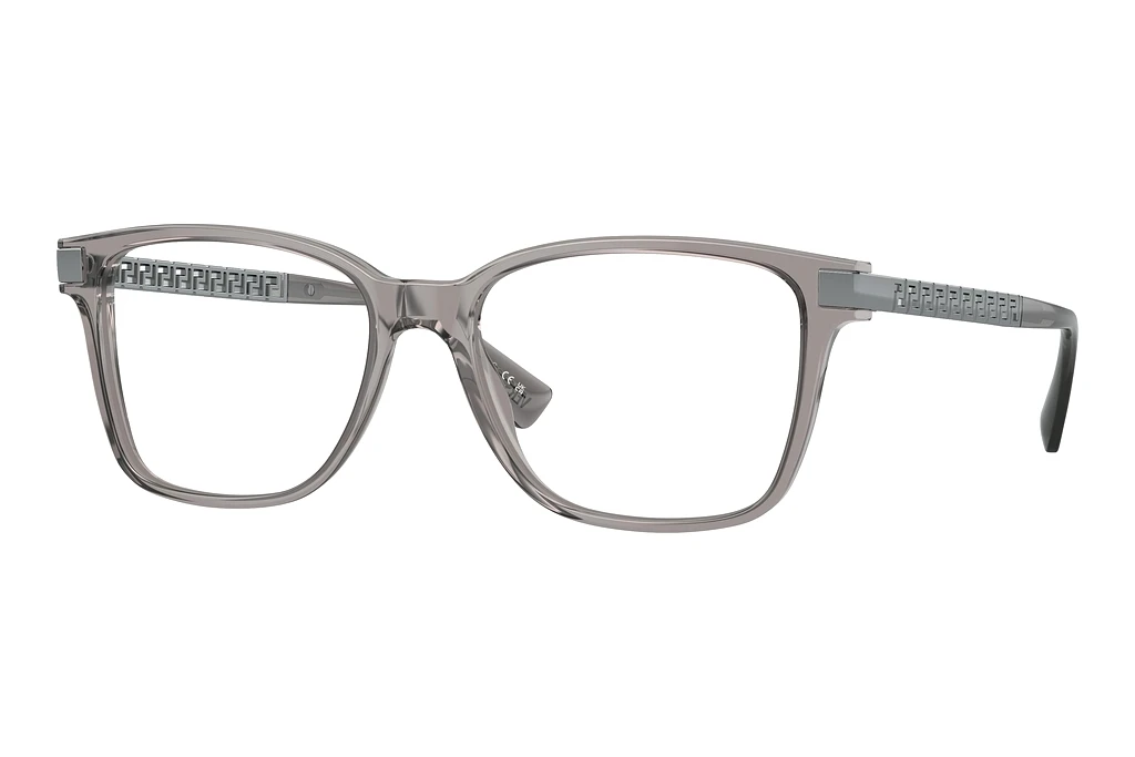 Versace   VE3340U 5406 Opal Grey