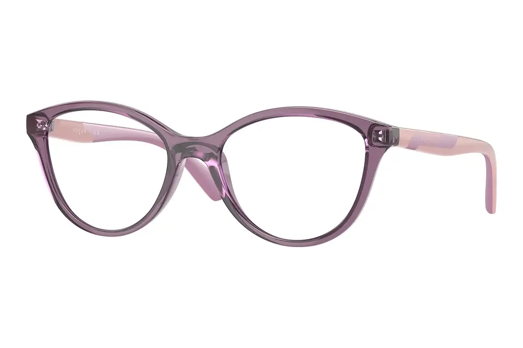 Vogue Eyewear   VY2019 3064 Transparent Violet