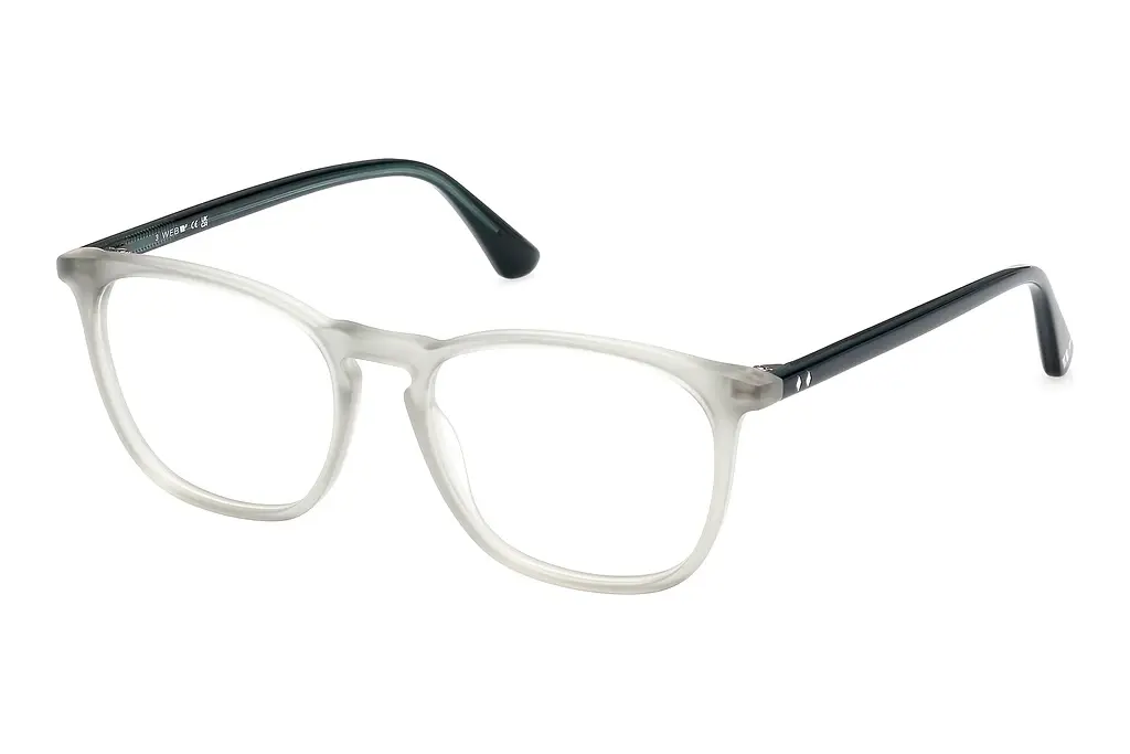 Web Eyewear   WE5419 095 Matt Hellgrün