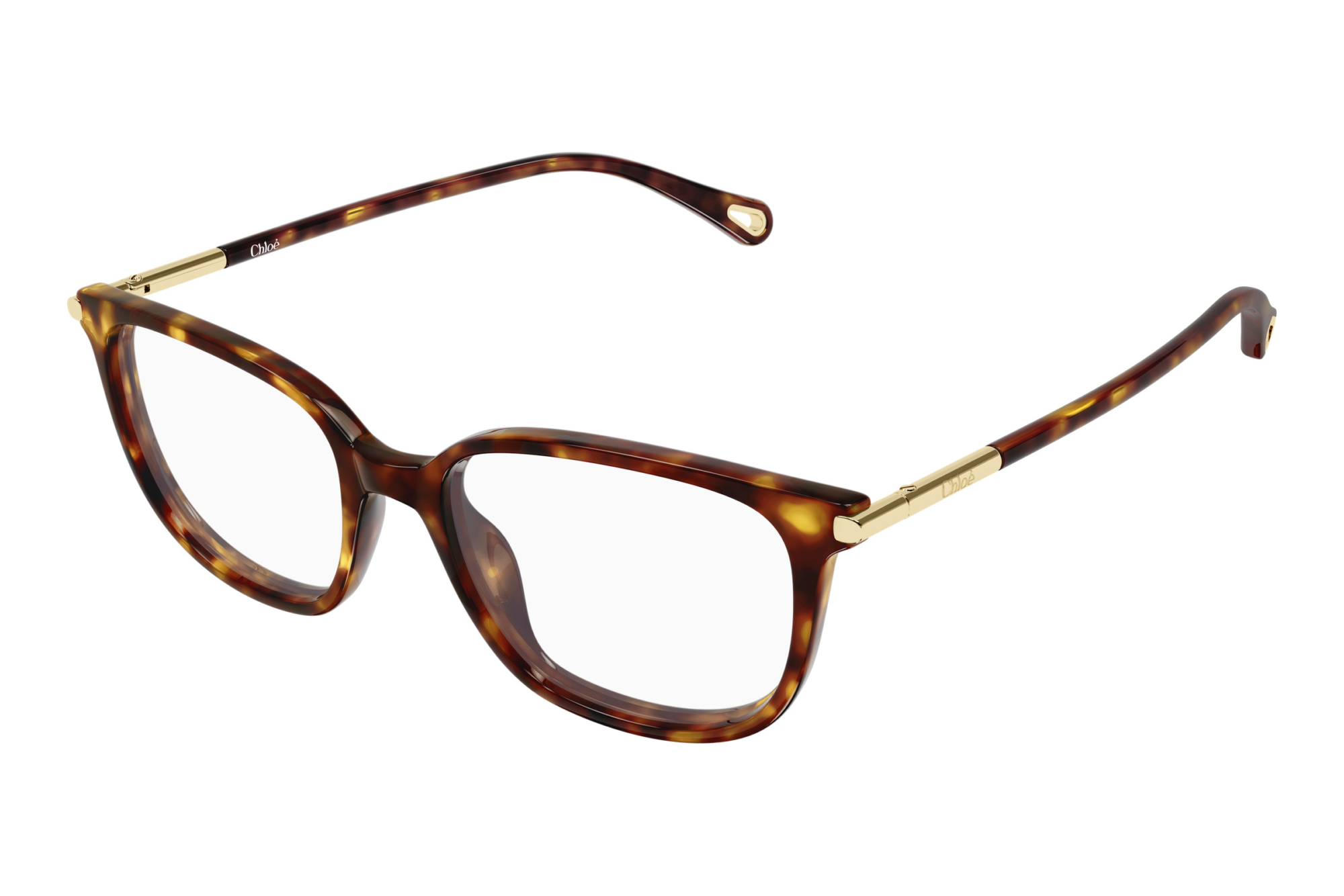 Chloé   CH0400O 002 HAVANA