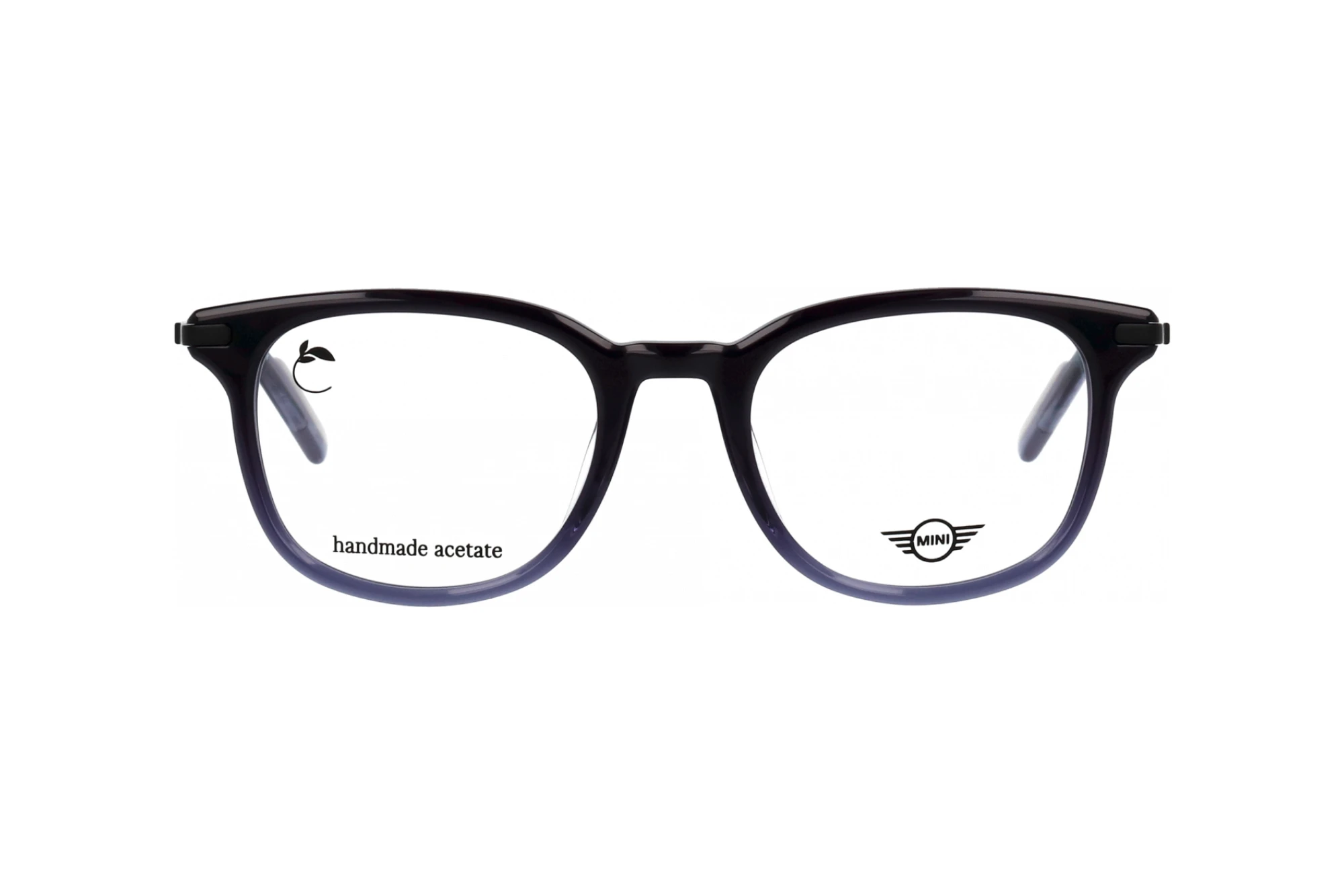 Vorderansicht MINI Eyewear MI 741044 (70)