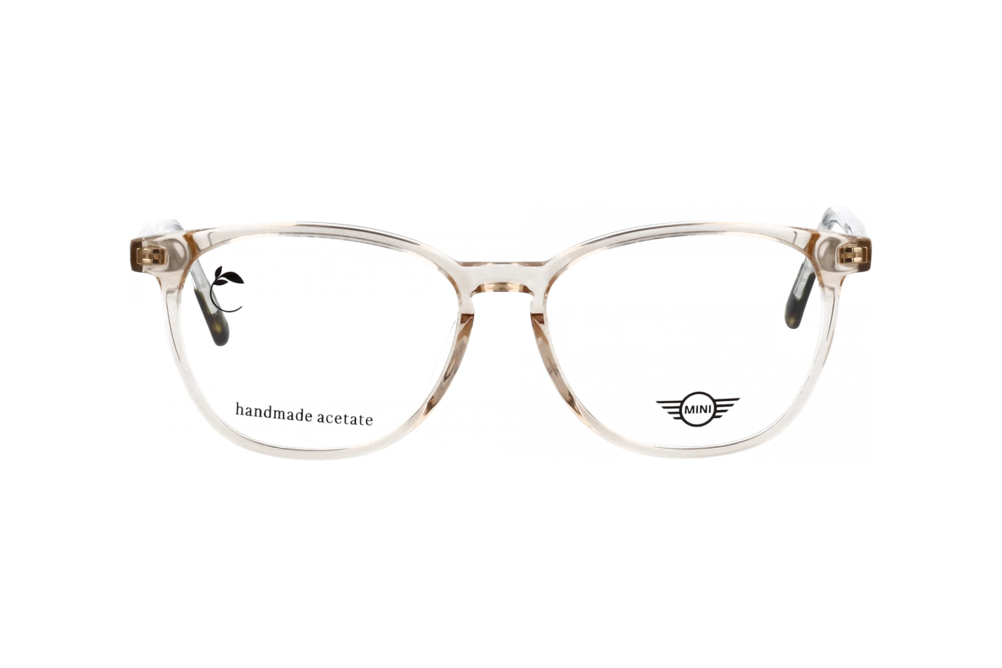 Vorderansicht MINI Eyewear MI 743020 (52)