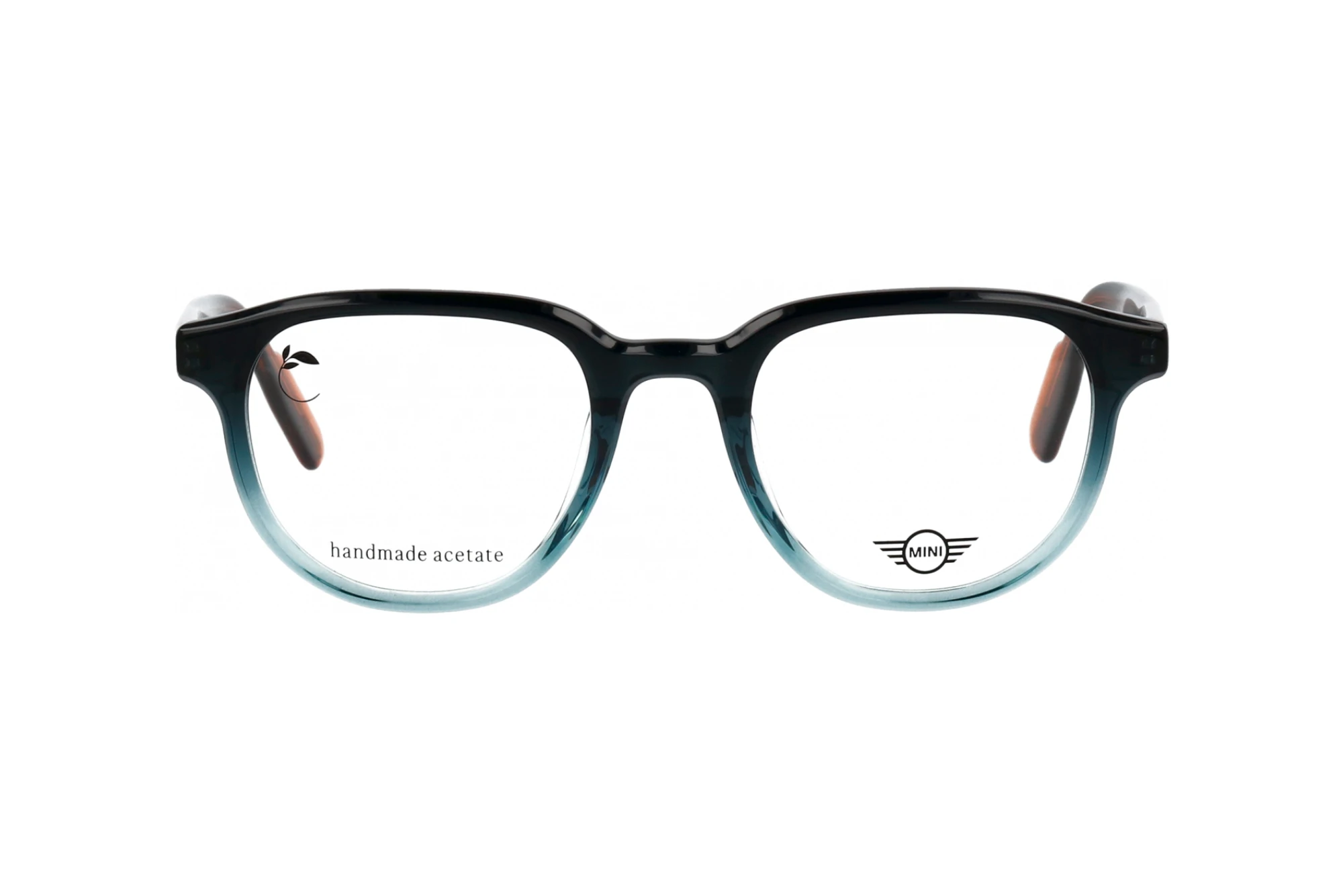 Vorderansicht MINI Eyewear MI 743028 (77)