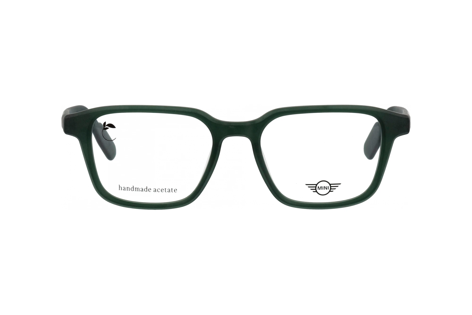 Vorderansicht MINI Eyewear MI 743029 (40)