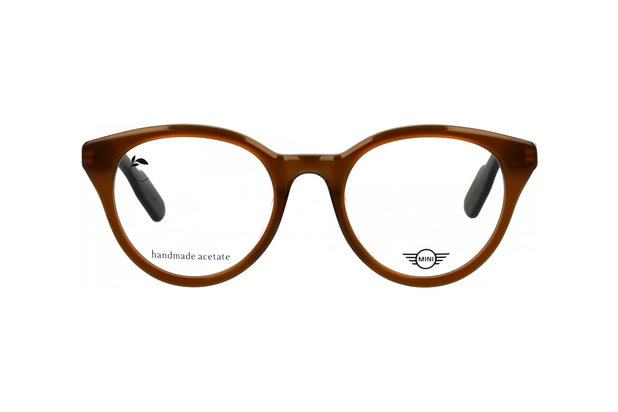 Vorderansicht MINI Eyewear MI 743032 (65)
