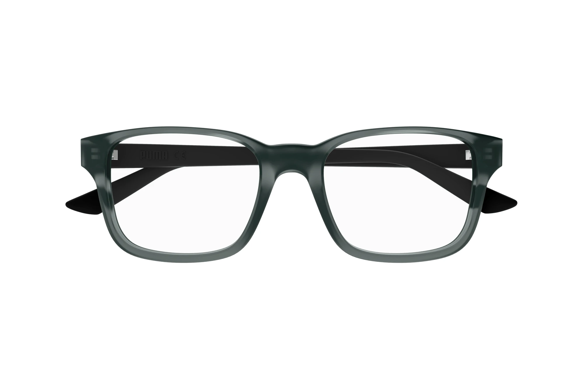 Vorderansicht Puma PU0434O (002)