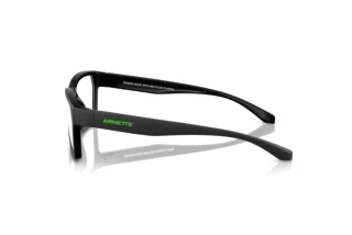 Seitenansicht Arnette PINZ (AN7257U - 2900)