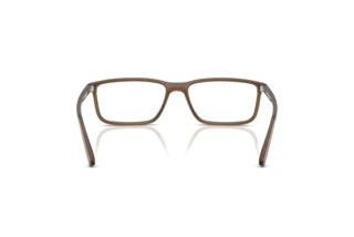 Rückansicht Arnette ZAP (AN7282 - 2997)