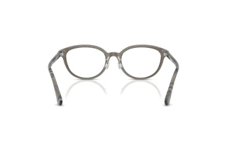 Rückansicht Burberry BE2435D (4160)