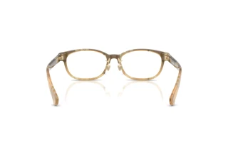 Rückansicht Burberry BE2447D (4201)