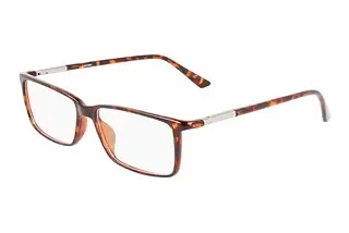 Calvin Klein CK21523 220 BROWN BROWN HAVANA
