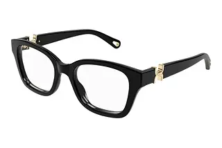 Chloé CH 0305O 005