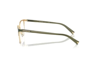 Seitenansicht Coach HC5131 (9442)