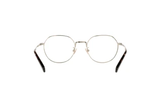 Rückansicht Coach HC5141 (9005)