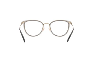 Rückansicht Coach HC5146 (9417)