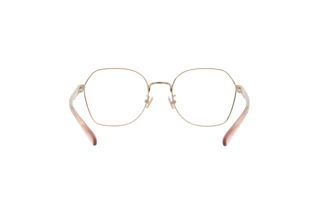 Rückansicht Coach HC5155 (9331)