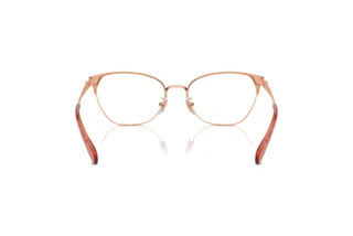 Rückansicht Coach HC5169 (9331)